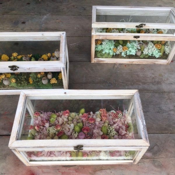 Invernadero con flores secas y preservadas Mayula Flores